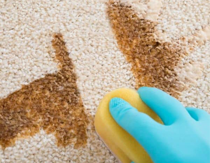 Shag rug cleaning